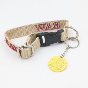 RAW Dog Enthusiastic Tan Dog Collar
